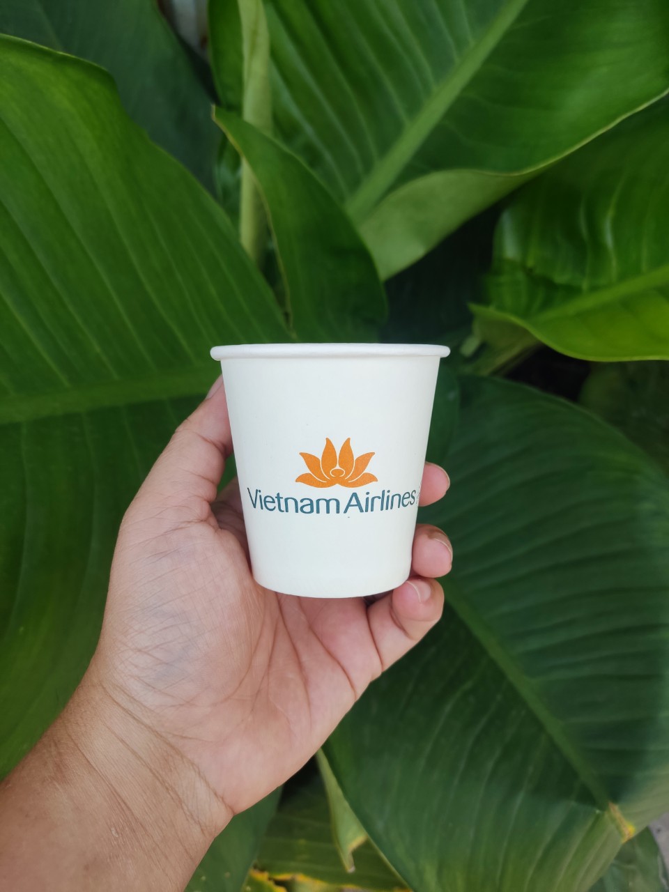 Benefits of small disposable paper cups