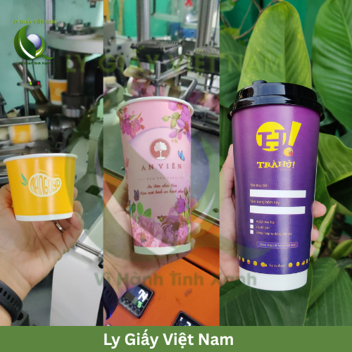 Ly giấy 2 lớp (Double Wall) là gì Những điều bạn cần biết